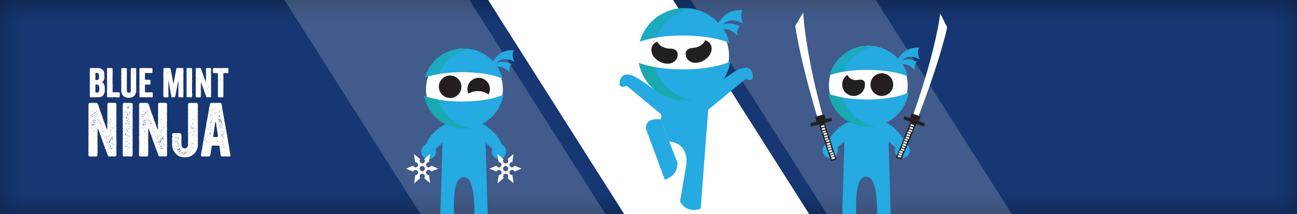 Bluemintninja banner