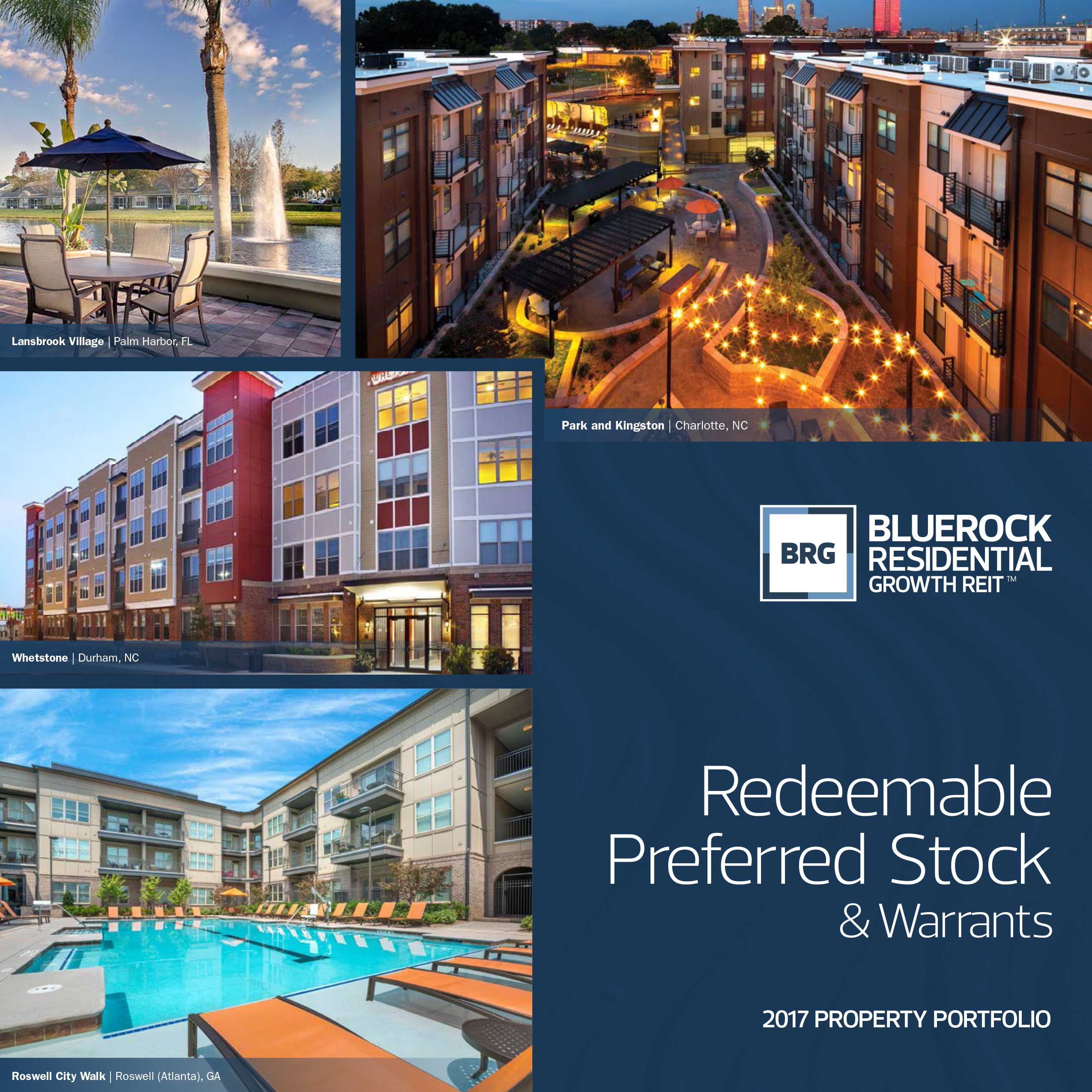 Bluerock BRG portfolio