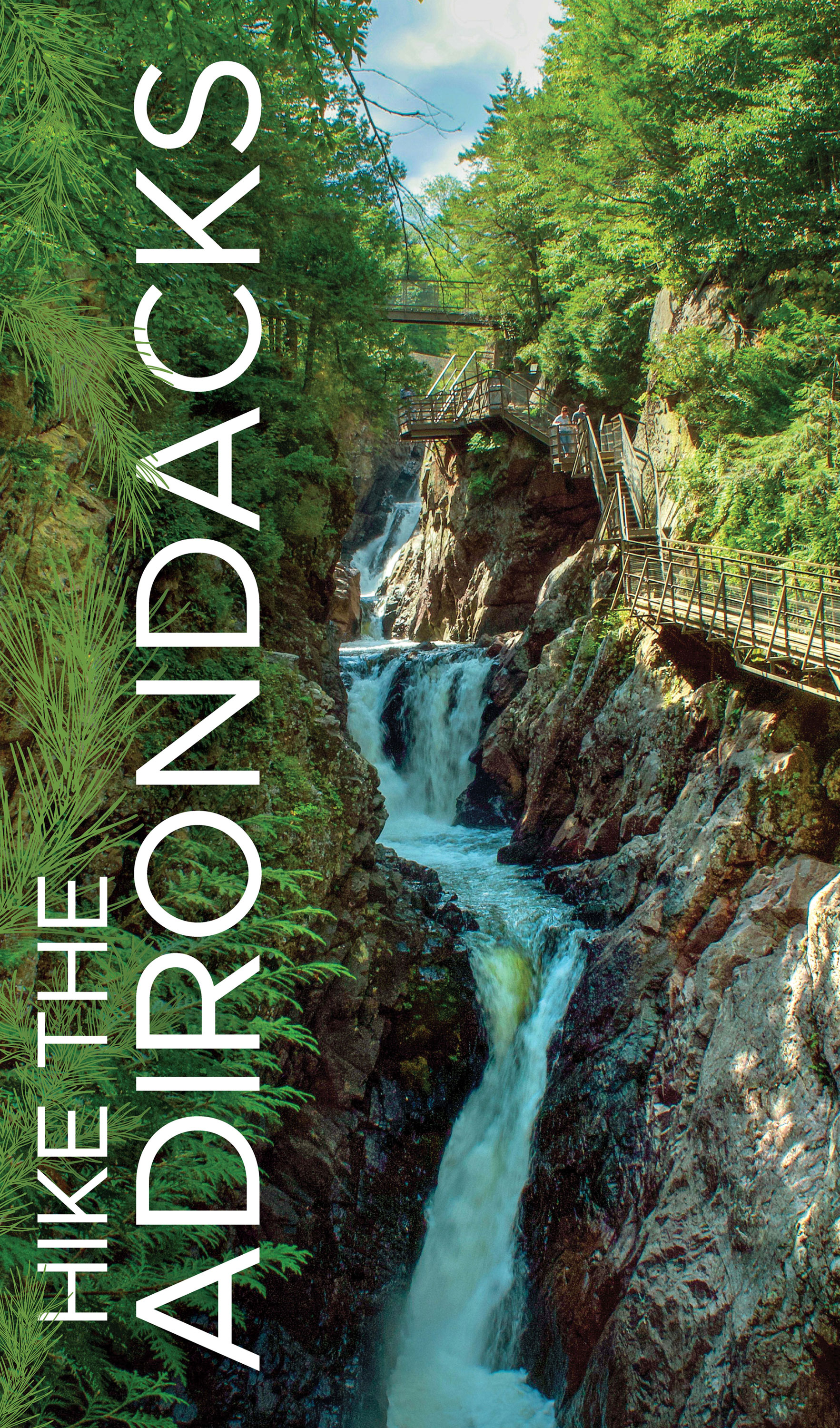 DXP Adirondacks banner