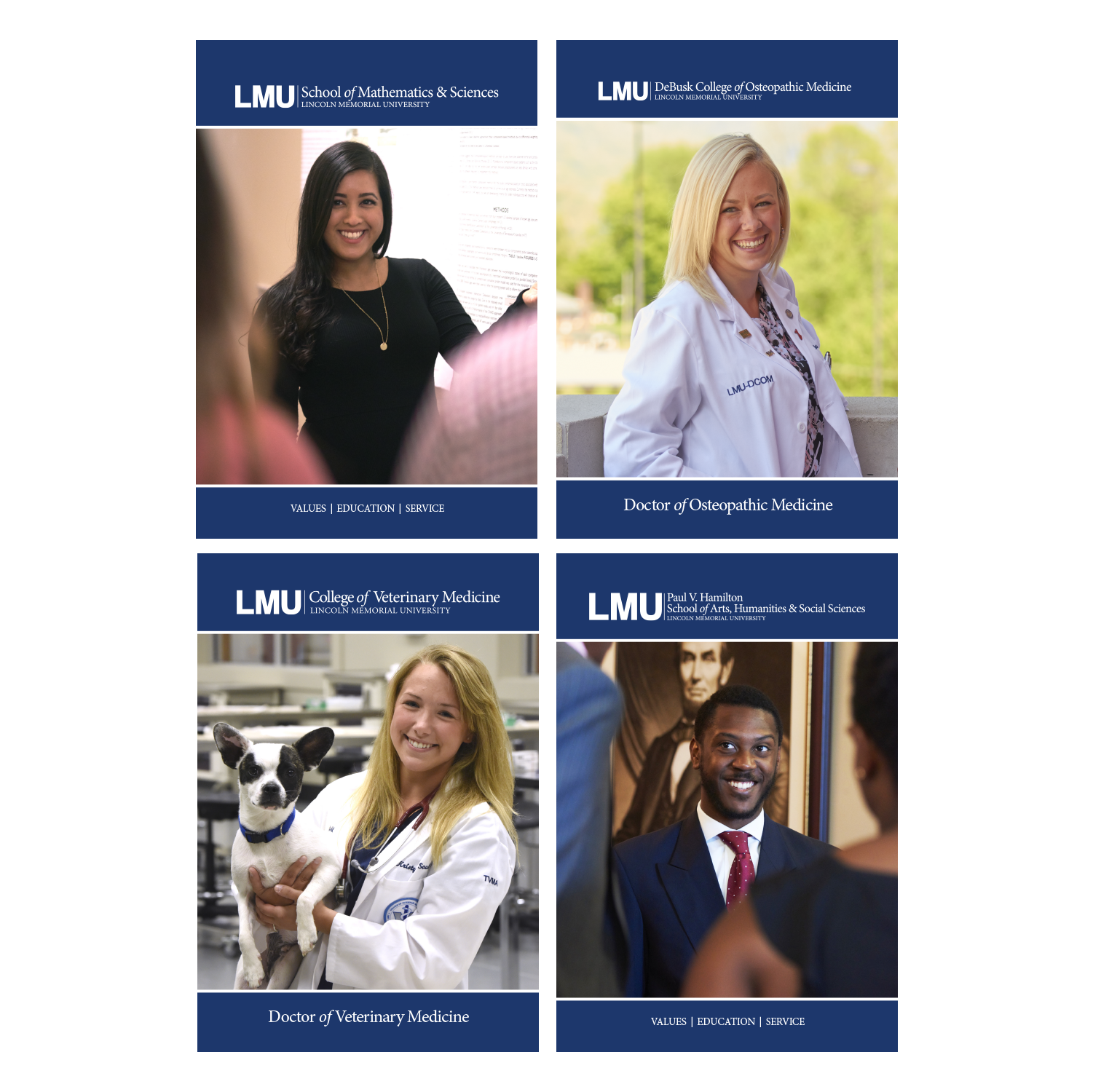 LMU admissions cover