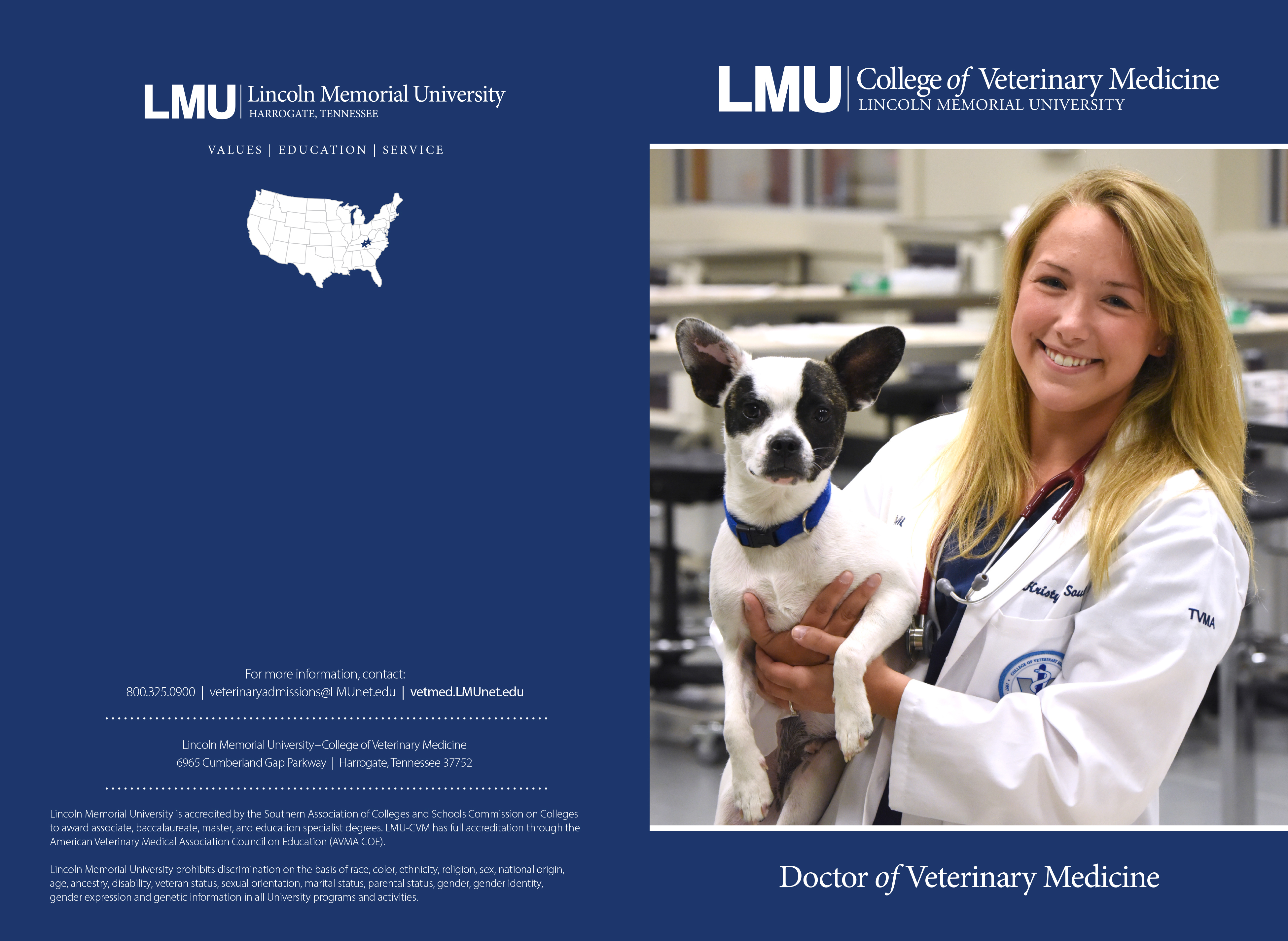 LMU-CVM brochure cover