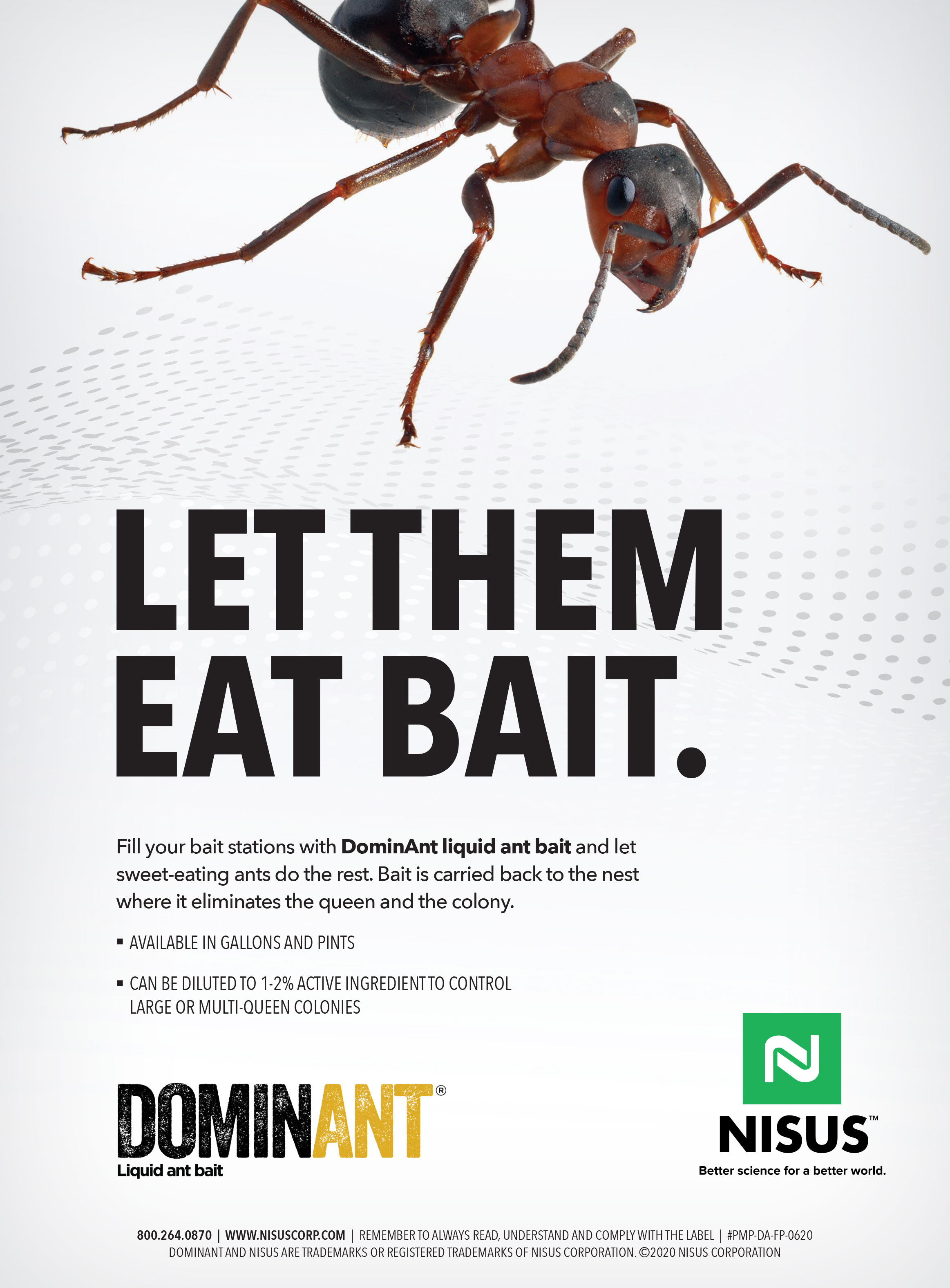 Nisus Dominant ad